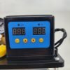 110V- 2 Lt